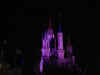 disney1_039_castle_night1.jpg (18292 bytes)