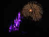 disney1_069_mk_fireworks22.jpg (31642 bytes)