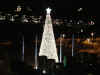 disney1_118_contemporary_tree_night_from_balcony1.jpg (32873 bytes)