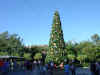 disney2_001_ak_xmas_tree.jpg (43890 bytes)