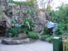 disney2_113_ak_rain_forest_cafe_sign.jpg (61948 bytes)