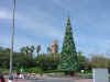 disney2_166_mgm_xmas_tree1.jpg (38623 bytes)