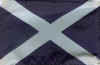 st_andrews_cross_of_scotland.jpg (51803 bytes)